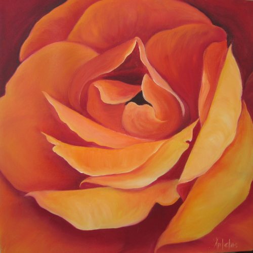 ROSE ORANGE 60x60cm