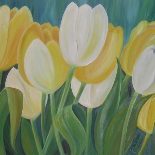 TULIPS 70x95cm